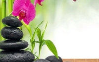 Spiritual Consultations and Classes by Spiritual Awakenings by Jana