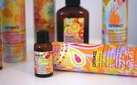 amika by Salon Voche