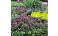 landscape definition by All That Gardening BY Murrie