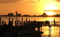 Reiki Session  by Synergy Connection Radio Podcast