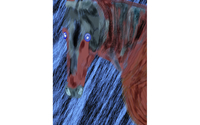Blue Plate Special P034 winning race horse by artist, photographer, and manager at Fine Art by Stew