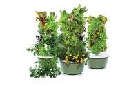 Tower Garden by Living In Color - Inside And Out