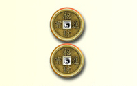 Traditional Chinese Yang Feng Shui by The Energy Institute Inc.