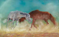 Gigi Barrett Fine Art-Vida Collection by Gigi Barrett Fine Art/Blue Eyed Dingo