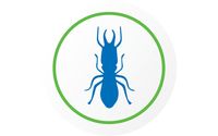 Termite Control by Active Pest Control