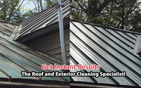 Roof cleaning by Patchs Surrey Dome Roofing