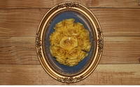 Frames by Suspended In Time - Flower Preservation DSM