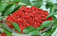 High-Quality & Organic Goji Berries - Reliable Yin Jing & Blood Building Tonic - Highly Prized Tonic Herb & Nutritious Superfood by Tonic Zen