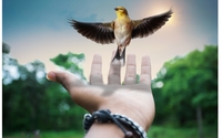 Hypnosis/Hypnotherapy by Aligned & Soulful Coaching
