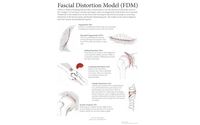 FASCIAL DISTORTION MODEL by Breakthrough Sports Therapy