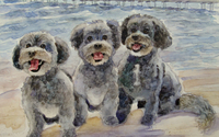custom and original artwork / watercolors / acrylic by gerdes art (custom watercolors)