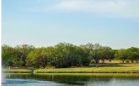 One Acre+ Lots to Build Dream Home by Legacy Estates