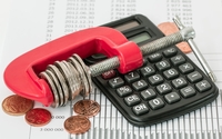 Tax Preparation and Audit Support by Nik's Entrepreneurial Service, LLC