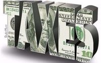 Tax Representation by Cameo Enterprises Inc - Tax Representation