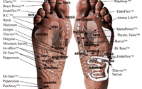 Aromatherapy VitaFlex Reflexology by Aromatic Wholistic Health Spa by 'Valentina'
