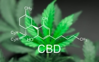 Certifications in THC and/or CBD by CBD Store of Michigan