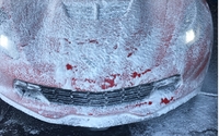 Foam bath by GLASS TIGER HAND CAR WASH & DETAIL SALON