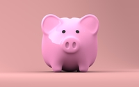 Is Budget a 4 Letter Word? by  Enrolled Agent, Certified Tax Coach