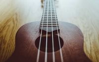 Solo Performance by 96 Strings