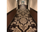 Waldorf - New Hall carpet  by Specialty Carpet Showroom
