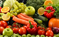 Individual Coaching by Thorough Nutrition 365
