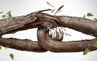 Divorce & Separation Mortgages by Axiom Mortgage Solutions - Krista Rumberg Mortgage Broker