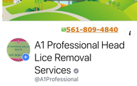 A1 Pro head Luce Removal  by A1 Professional head Lice removal