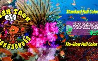 Full Color Fluorescent Printing Services by ImageProjektions Design Group