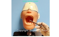 Dental Education Models Manikin Simulator Anatomical Models At www.buyamag.com For Dental Schools Medcal  by Buyamag Inc. Dental Simulators Manikins Models For Practice Training Education Phantom Heads. Medical Teaching Anatomical Models Manikin Simulators For Education Training Practicing