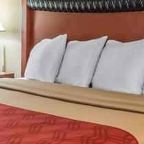 Hotel Room and Drinks at Bar by KMD Hospitality Management LLC