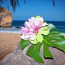Weddings by Kauai Wedding Blessings