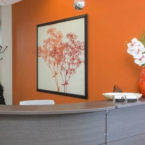 Virtual Office by Office Evolution