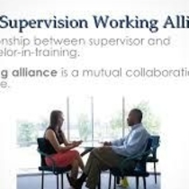 Clinical supervsion by Starlight Counseling PLLC
