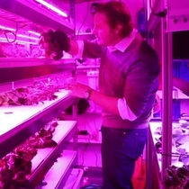 FARM - INDOOR FARM - Shipping Container by Covenant Development llc