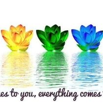 Reiki by Titan's Touch Canine Massage