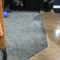 This durable but luscious 15 year warranty carpet won’t break the bank (ask us how) by Choice Floors/BTK Installation