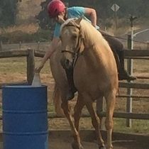 Horseback Riding Lessons by European Riding Academy