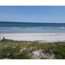 Next Move Life Options by Michele Allison-Elwell Coldwell Banker