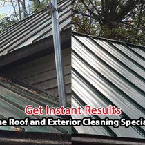 Roof cleaning by Patchs Surrey Dome Roofing