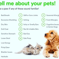 Pawtree pet supplies. by Always There Animal Care