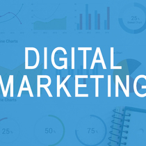 Digital Marketing & SEO by Noctem Media