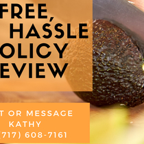 Policy Review by Us Health Advisor