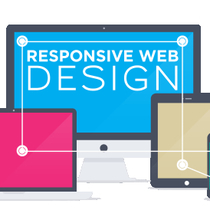 Website Design and Development by Salk Marketing