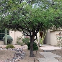 Sonoran Heights ZIP 85260 Scottsdale  by Realty Executives