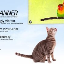 Full Color Banners by Zoo Graphix Online
