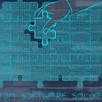 Custom Software Solutions by TIMIT Solutions, LLC