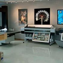 Large prints up to 64" wide on many materials by Parrot Digigraphic, Ltd