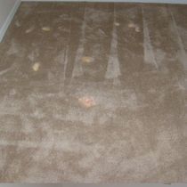 Bleach Repair by Carpet Repair Master