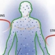 Get Your Health Back! Stop Guessing and Start Testing! by Nutrient Deficiency Analytics, LLC