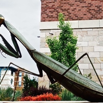We work for sculptors.  We cast fine silicon bronze by Lands End Sculpture Center